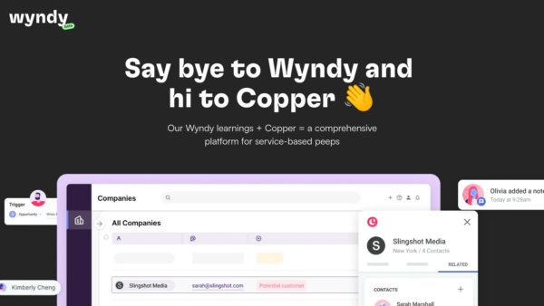 Wyndy Website Screenshot